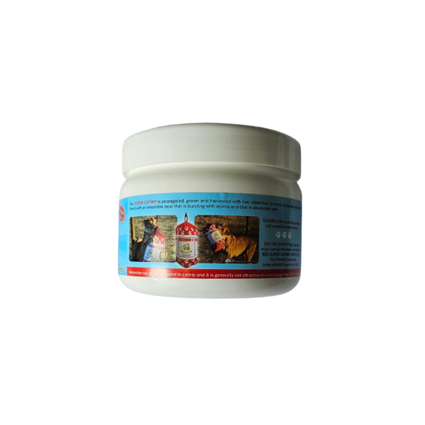 Kunduchi Super Catnip 50g Tub - Image 3